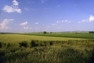 Pozemky v Brně a okolí - kolik stojí a co jejich cenu ovlivňuje?